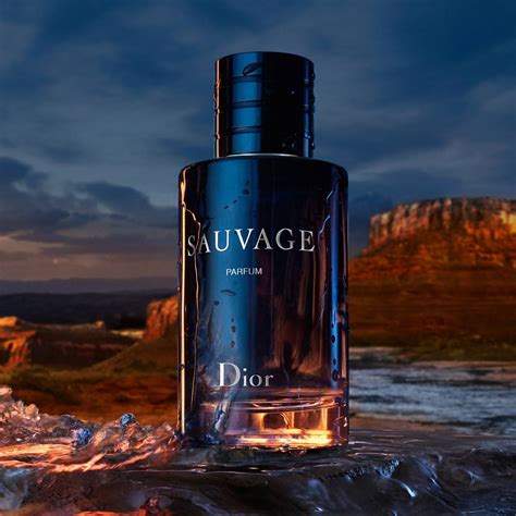 dior savage spray|dior sauvage 100ml cheapest.